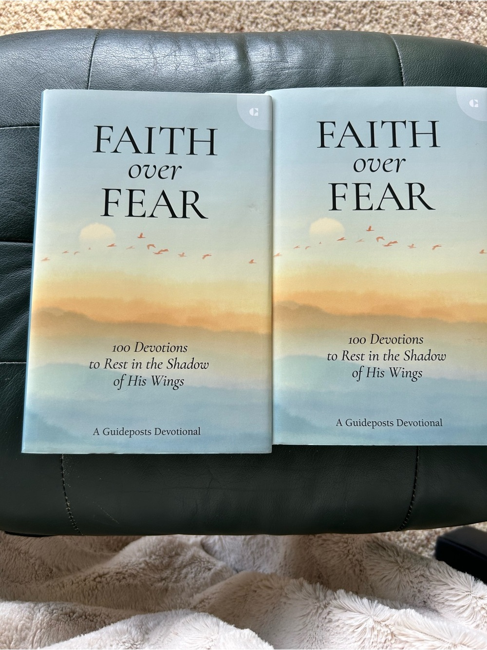Faith Over Fear Devotional Books - Twp Books